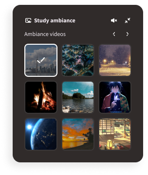 Study stream friends 